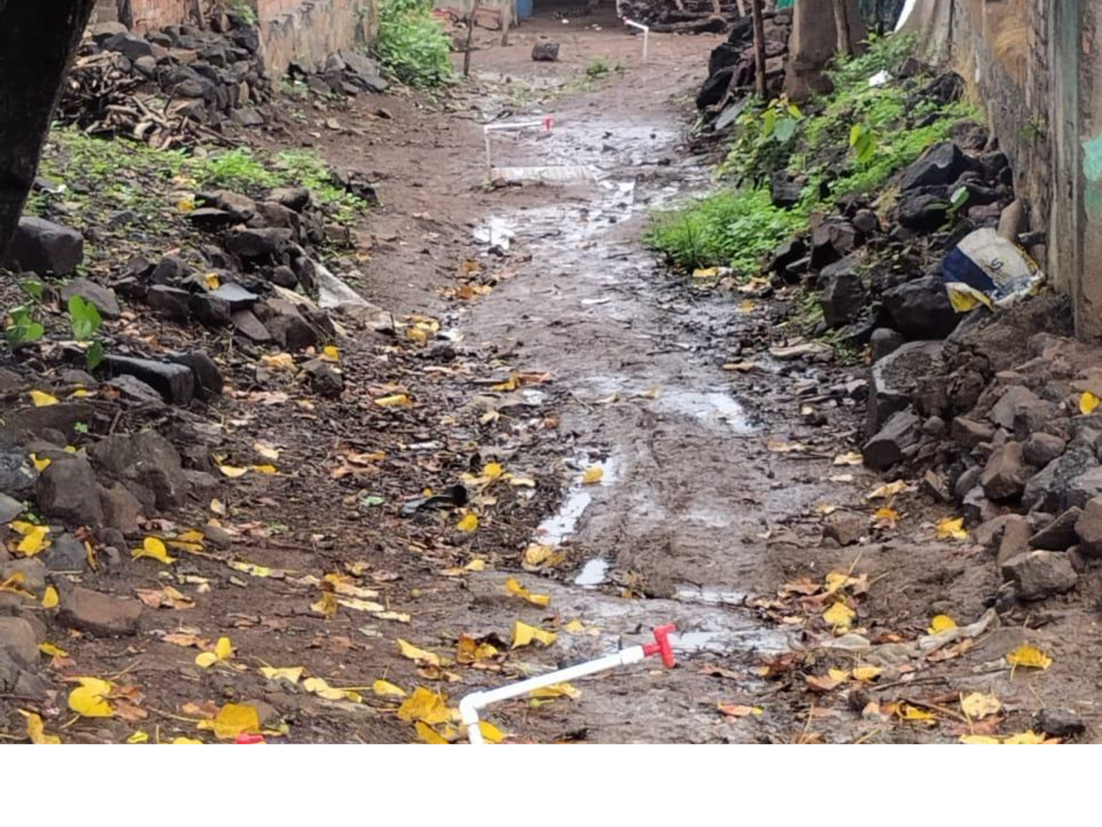 untitled design (15)