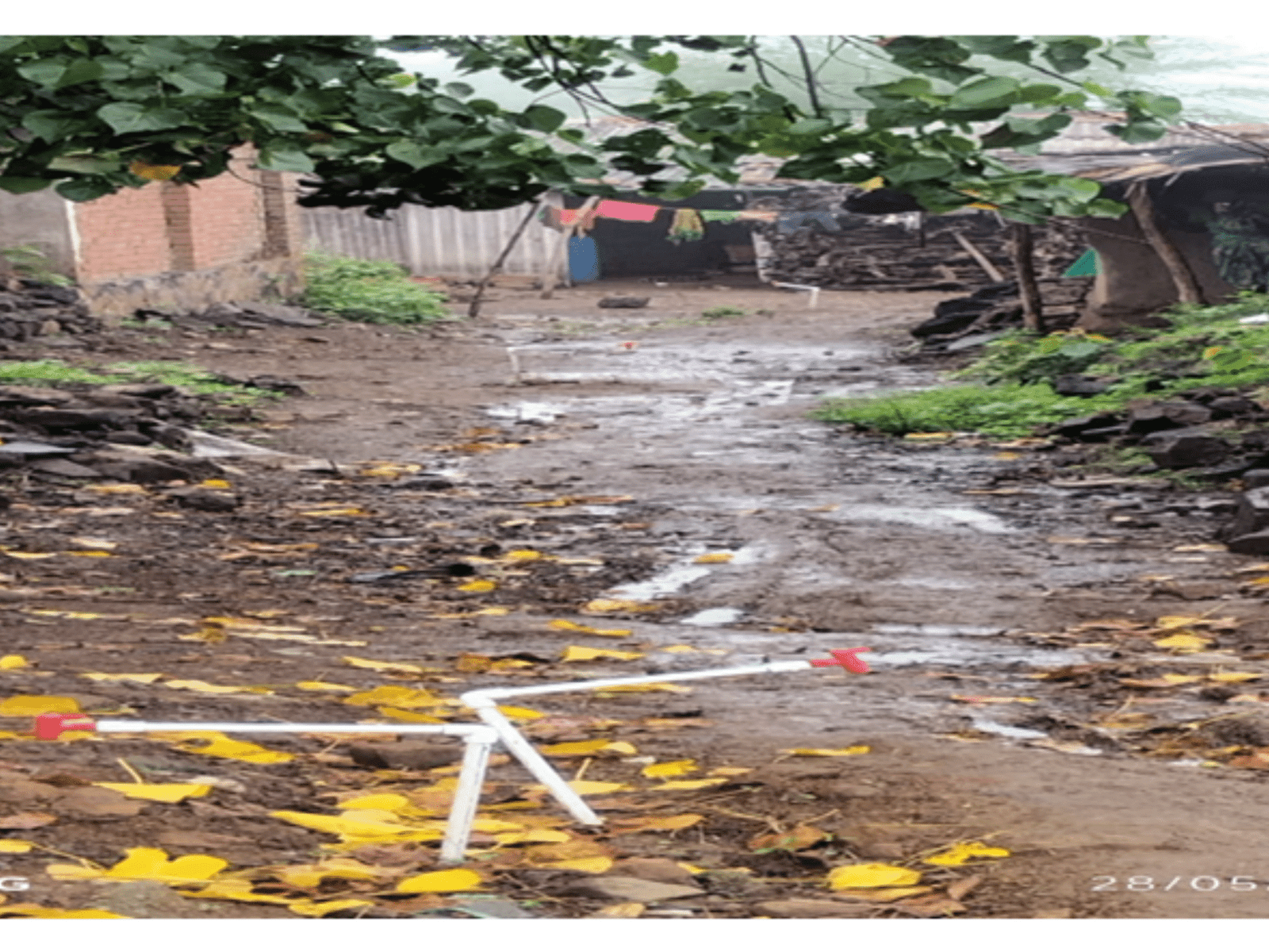 untitled design (24)